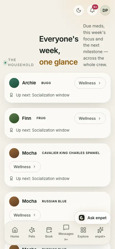 Everyone's week at one glance: Archie, Finn and Mocha with their wellness plans and what is up next for each.