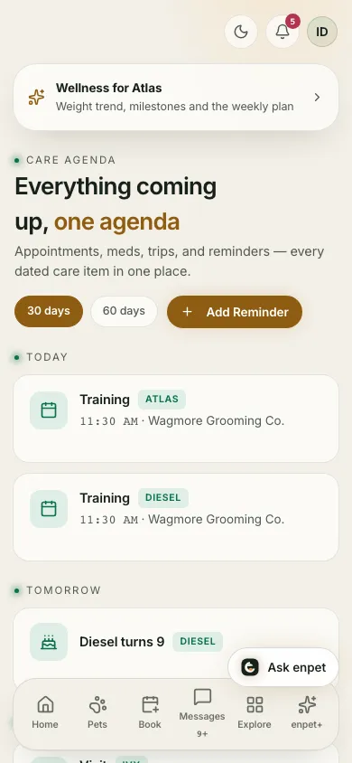 The care agenda: today's training for Atlas and Diesel at Wagmore Grooming Co., Diesel's birthday tomorrow, and an Add reminder button.