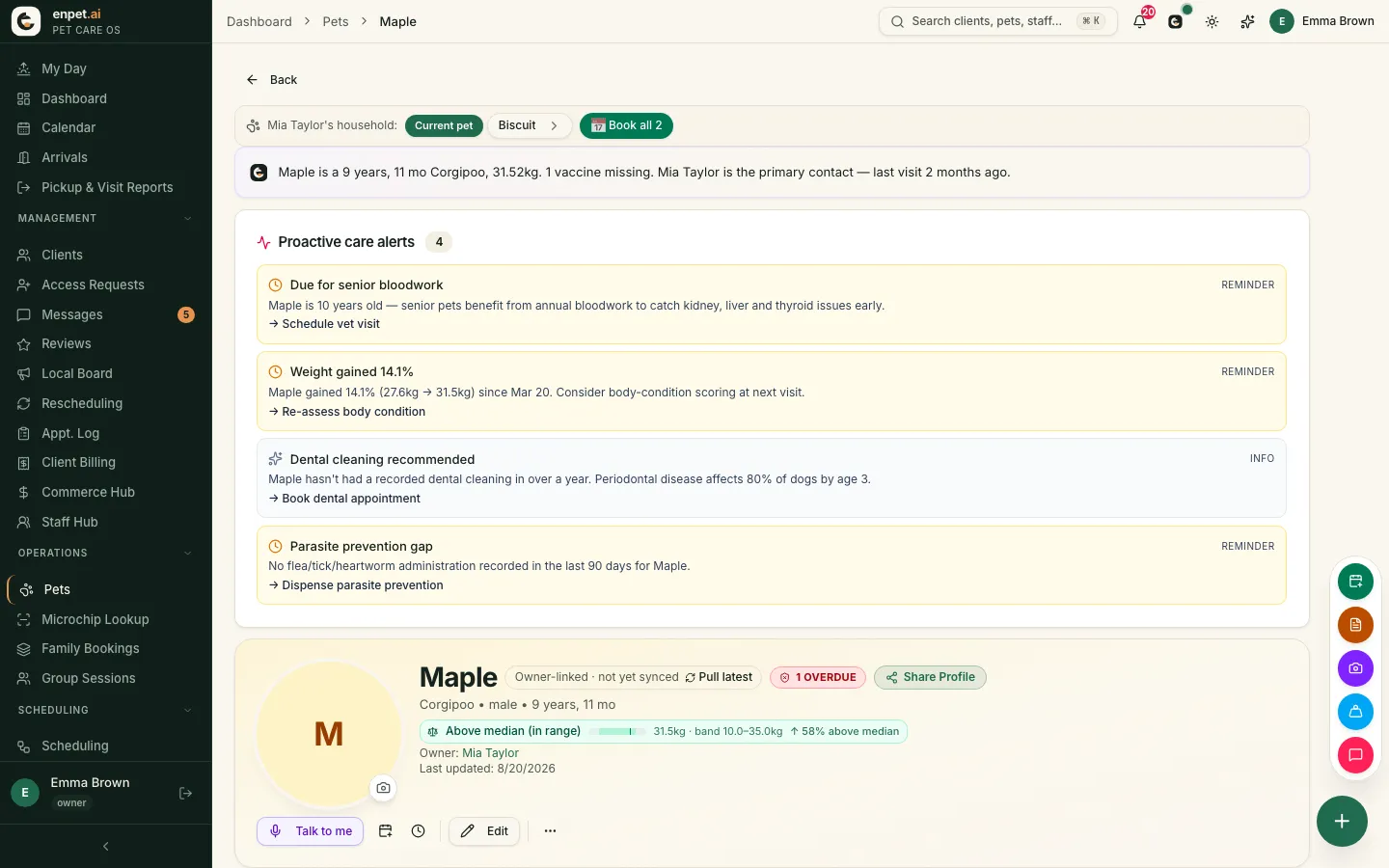 Maple's profile: the household strip, an AI summary, four proactive care alerts and the record header with weight band and owner.